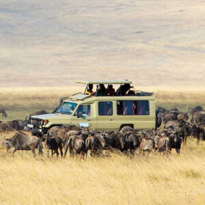 7 Days Tanzania (Serengeti) Safari & Zanzibar (Luxury Experience)